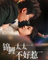 锦鲤太太不好惹 封面