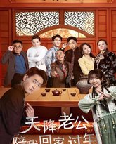 天降老公陪我回家过年 高清封面