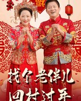 找个老伴儿回村过年 高清封面