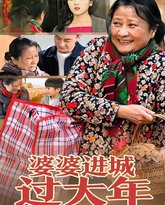 婆婆进城过大年 高清封面