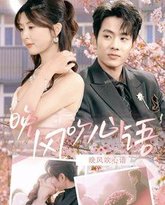 晚风吹心语 高清封面