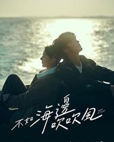 不如海边吹吹风 封面