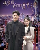 换亲后我们的高光之路 高清封面