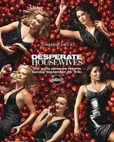 绝望主妇 第二季 高清封面