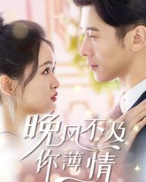 晚风不及你薄情 高清封面