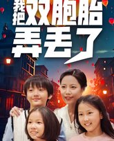 我把双胞胎弄丢了 高清封面