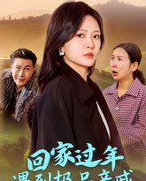 回家过年遇到极品亲戚 高清封面