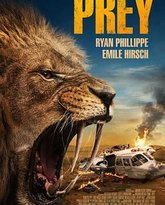 逃出卡拉哈里 封面