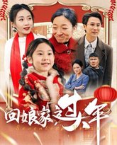 回娘家过大年 高清封面