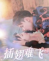 插翅难飞 高清封面