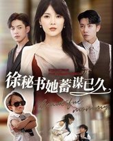 徐秘书她蓄谋已久 高清封面