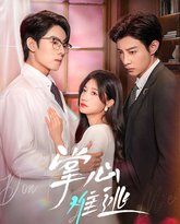 掌心难逃 高清封面