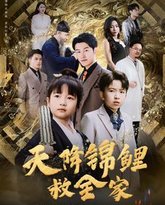 天降锦鲤救全家 封面