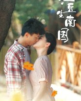 红豆生南国 高清封面