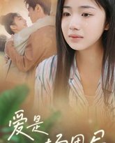 爱是一场困局 高清封面