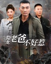 隐龙老爸不好惹 高清封面