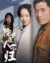 除夕夜人不归 高清封面