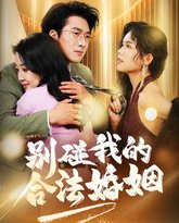 别碰我的合法婚姻（天大地大老婆最大） 高清封面