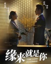 新缘来就是你 高清封面