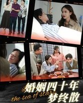 婚姻四十年梦终散 高清封面