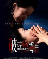 破碎的誓言 高清封面
