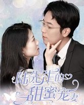 陆先生的甜蜜宠妻 高清封面