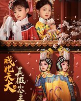 戏比天大之真假小公主 高清封面