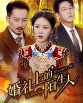 婚礼上的陌生人 高清封面