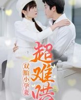 双胎小孕妻超难哄 高清封面