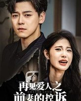 再见爱人之前妻的控诉 高清封面