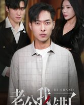 老公我错了 高清封面