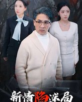 新情陷迷局 高清封面