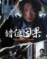 错位因果 高清封面