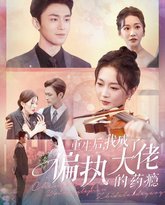 重生后我成了偏执大佬的药瘾 高清封面