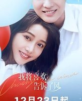 我将喜欢告诉了风 封面