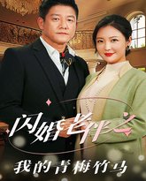 闪婚老伴之我的青梅竹马 高清封面