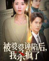 被婆婆诬陷后我杀疯了 高清封面