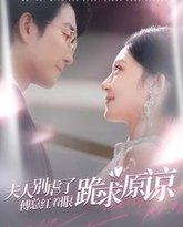 夫人别虐了傅总红着眼跪求原谅 高清封面