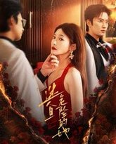 迷人且危险的她 高清封面