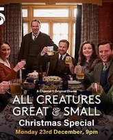 万物生灵：2024圣诞特别集 高清封面