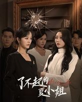 了不起的夏小姐 高清封面