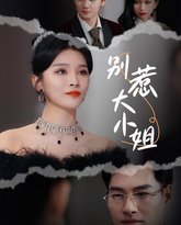 别惹大小姐 高清封面