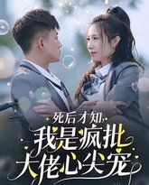 死后才知我是疯批大佬心尖宠 高清封面