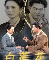 白莲花 高清封面