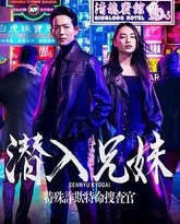 潜入兄妹 特殊诈欺特命搜查官 封面