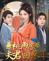 兼祧两房后夫君回来了 高清封面