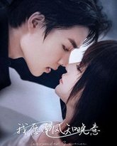 我愿南风知晚意 高清封面