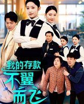 我的存款不翼而飞 高清封面