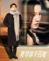 我寻你千百度 高清封面