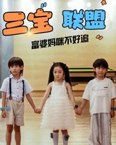 三宝联盟富婆妈咪不好追 高清封面